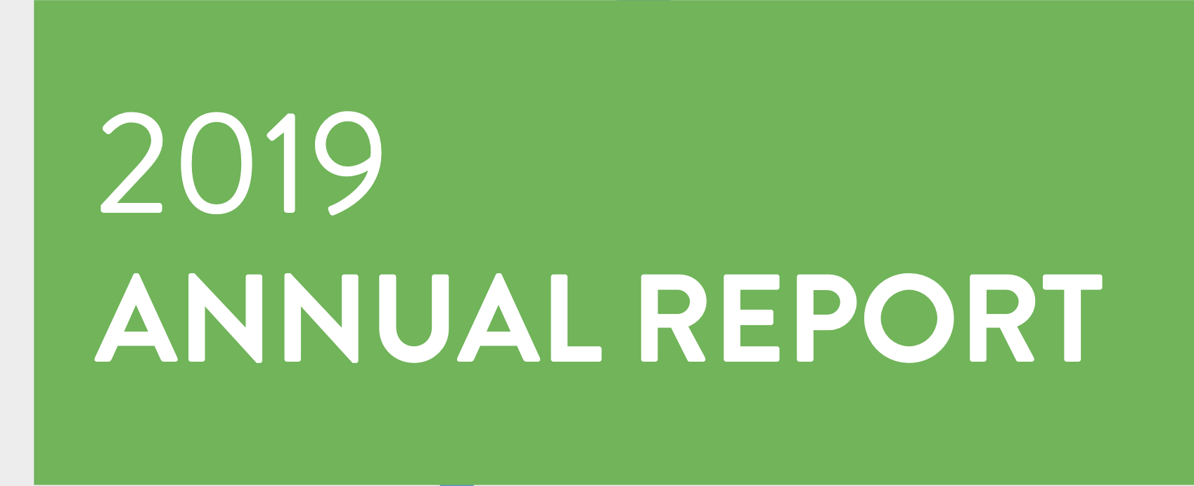 2019 SPE Annual Report